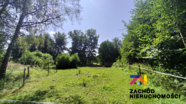 Działka otoczona lasem w Barcikowicach Małych na sprzedaż